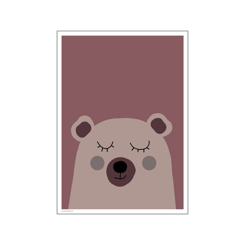 Brown Bear