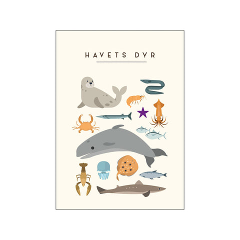 Havets dyr – Børneplakat