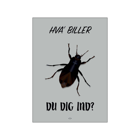 Hva' biller du dig ind?