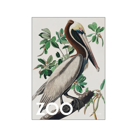 Die Zoo-Kollektion – Brauner Pelikan – Edt. 002