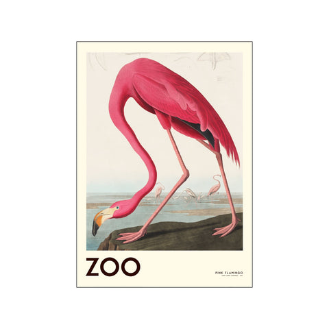 Die Zoo-Kollektion – Pink Flamingo – Edt. 001