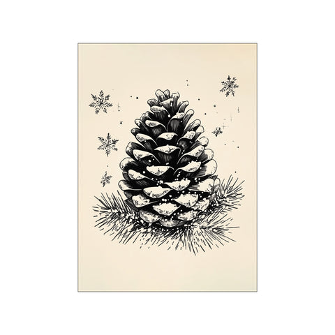Pine Winter