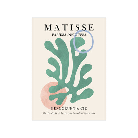 Matisse floral Poster 6
